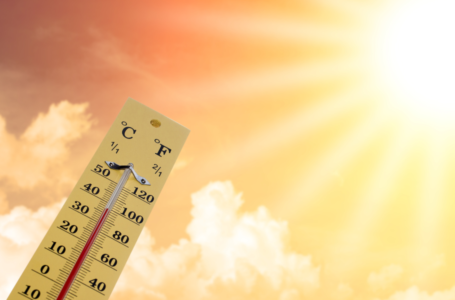 Delhi’s Heatwave Fuels Surge in Stomach-Related Illnesses